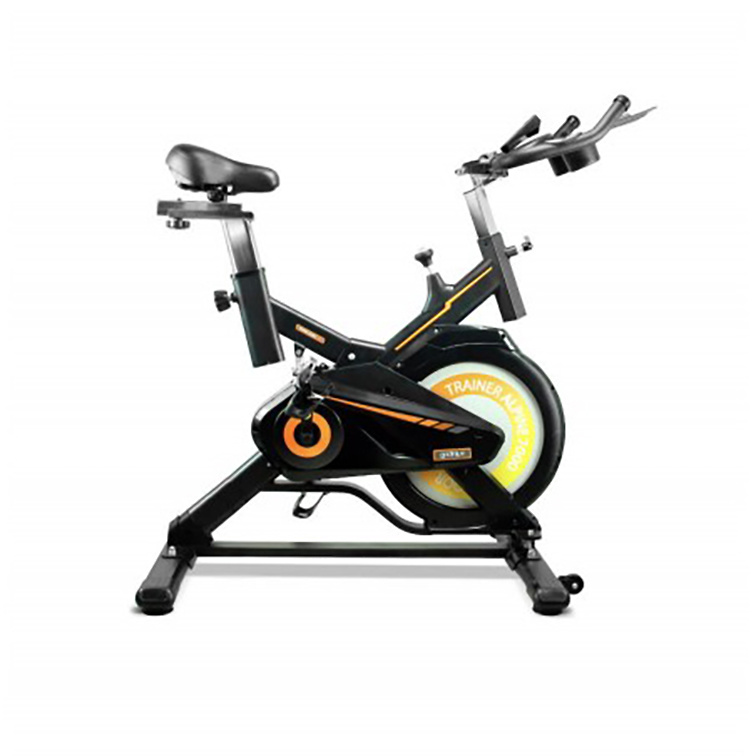 BICICLETA DE SPINNING TRAINER ALPINE 7000. 