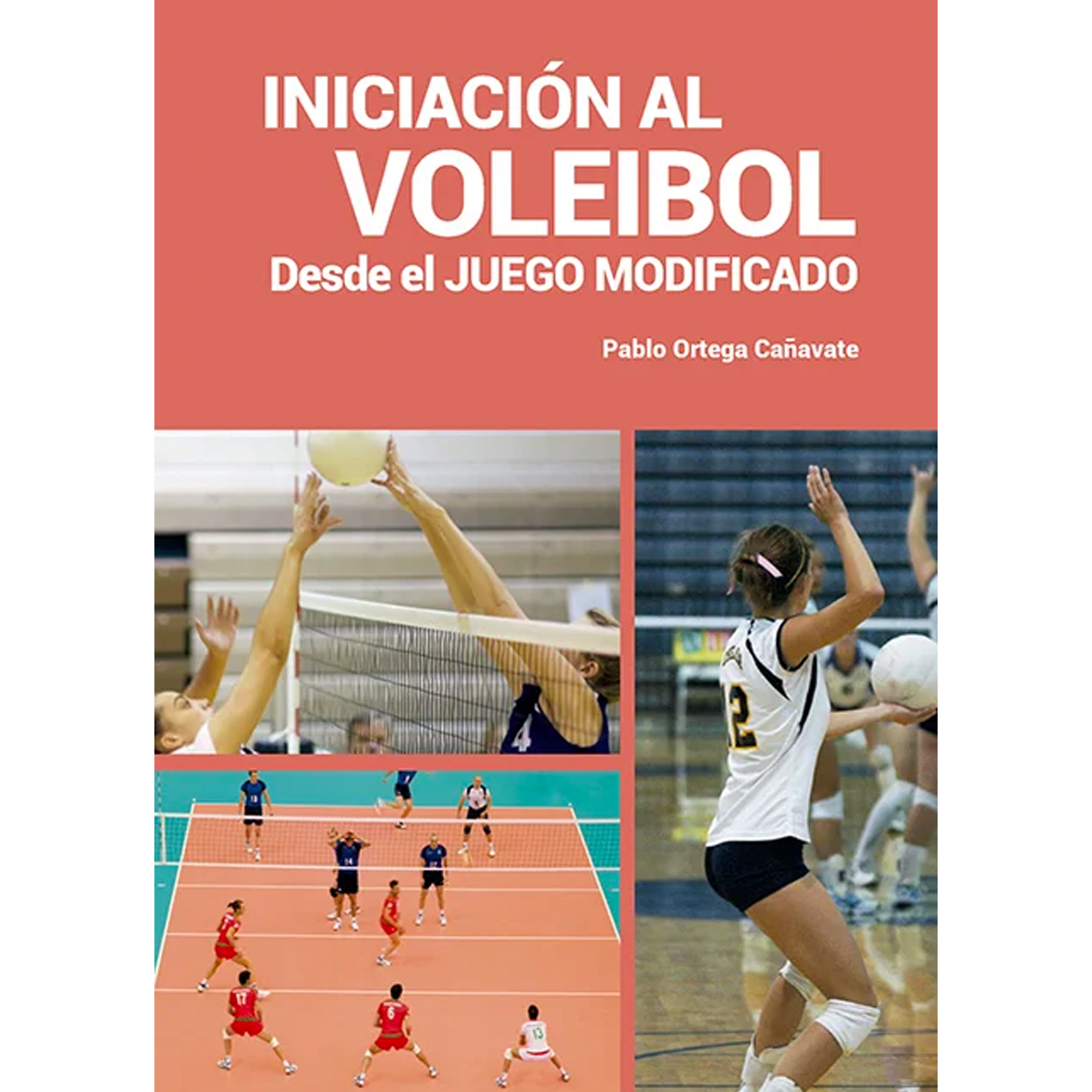 Total 98 Imagen Manual Del Voleibol Viaterramx 9693